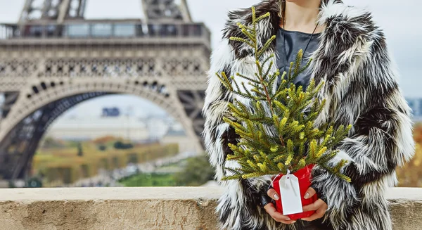 Fashion-monger with Christmas tree looking into distance, Paris — Stock Photo, Image