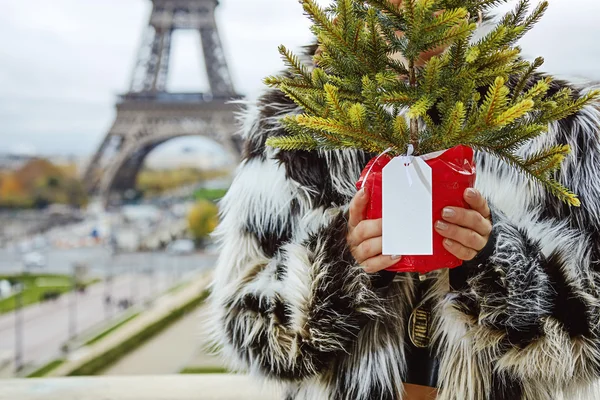 Closeup on woman with Christmas tree against Eiffel tower — Stock Photo, Image