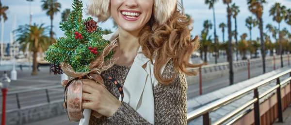 Γυναίκα ταξιδιωτών με ένα μικρό χριστουγεννιάτικο δέντρο κοιτώντας το di — Φωτογραφία Αρχείου
