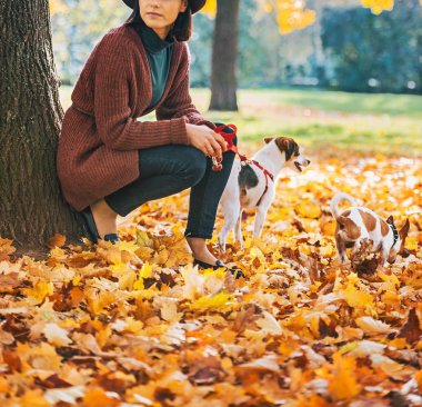 genç kadın ile köpek dışarıda parkta sonbaharda ayakta.