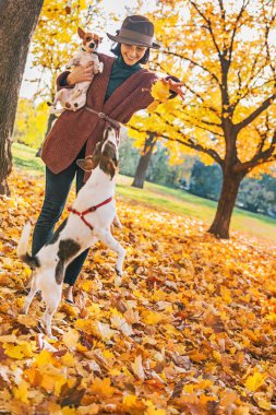 mutlu genç kadın köpeklerle açık havada Sonbahar oynamak