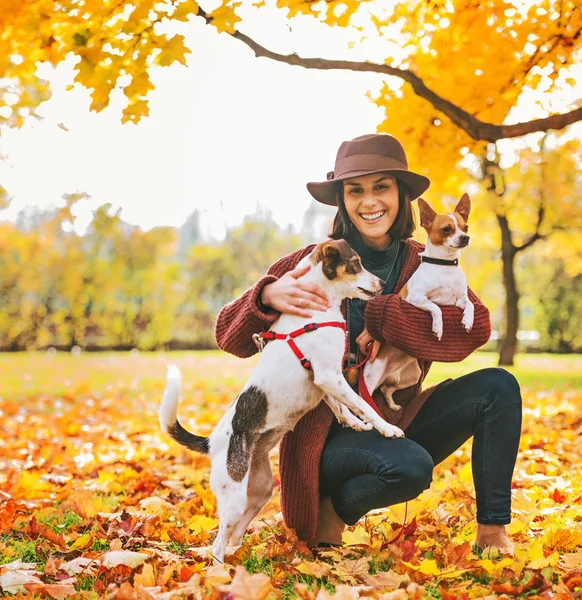 Giovane donna con due cani che giocano fuori in foglie autunnali — Foto Stock