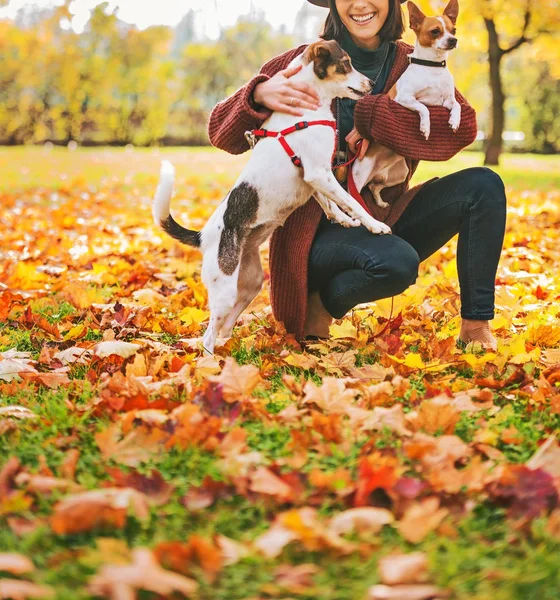 Mujer joven con dos perros jugando al aire libre en hojas de otoño — Foto de Stock