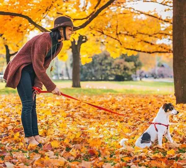 Young woman with dog outdoors in autumn — Stock Photo, Image