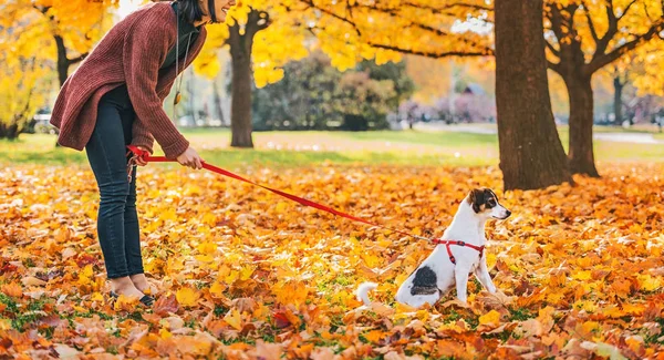 Junge Frau im Herbst mit Hund im Freien — Stockfoto