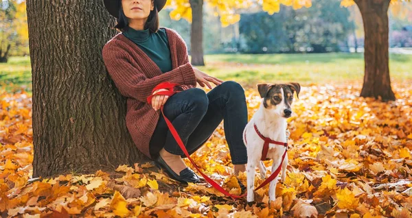 Thoughtful young woman with dog outdoors in autumn