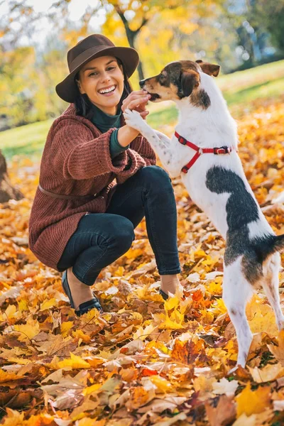 Молодая женщина играет с собакой на открытом воздухе осенью — стоковое фото