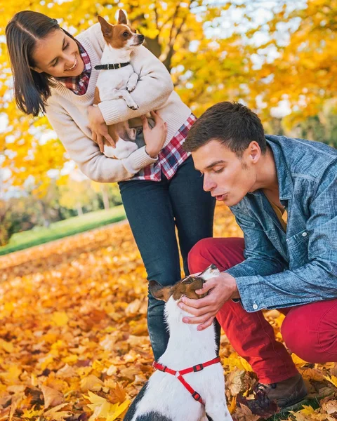 Pareja joven jugando con perros al aire libre en otoño —  Fotos de Stock