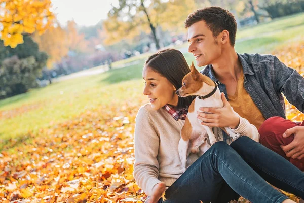 Pareja joven sentada al aire libre en el parque de otoño con perro y lookin — Foto de Stock