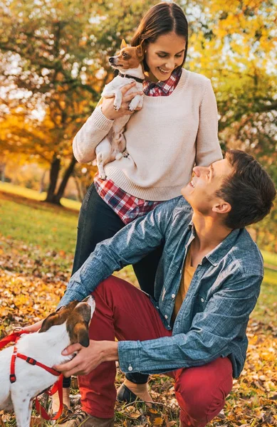 Feliz Pareja Joven Con Perros Jugando Aire Libre Parque Otoño —  Fotos de Stock