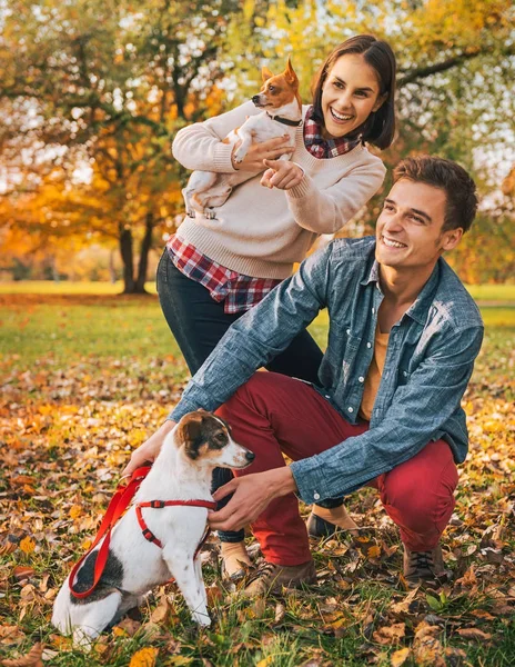 Jovem casal com cães apontando no espaço de cópia ao ar livre no outono — Fotografia de Stock