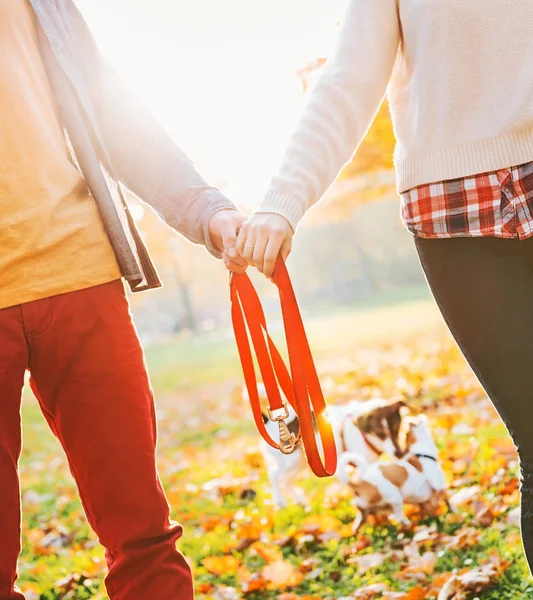 Fechar em jovem casal segurando coleira juntos no parque de outono — Fotografia de Stock