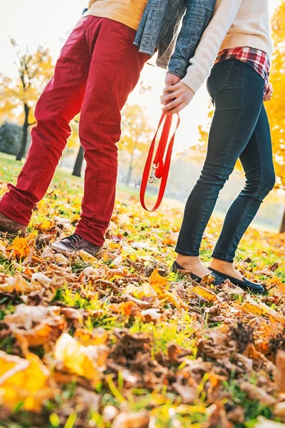 Fechar em jovem casal segurando coleira juntos no parque de outono — Fotografia de Stock