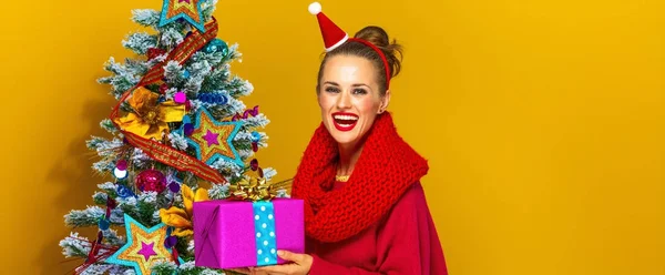Weihnachtszeit Lächelnde Junge Frau Bunten Kleidern Der Nähe Von Weihnachtsbaum — Stockfoto