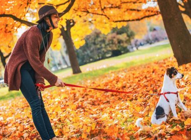 genç kadın ile köpek sonbaharda açık havada
