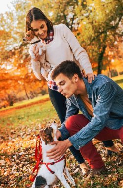 açık havada sonbahar parkta oynayan köpekler ile mutlu genç Çift