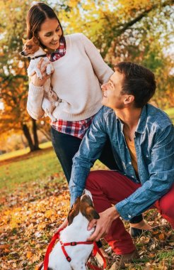 açık havada sonbahar parkta oynayan köpekler ile mutlu genç Çift