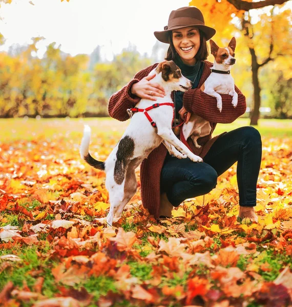 Молодая Женщина Коричневой Шляпе Двумя Собачками Играющими Улице Осенних Листьях — стоковое фото