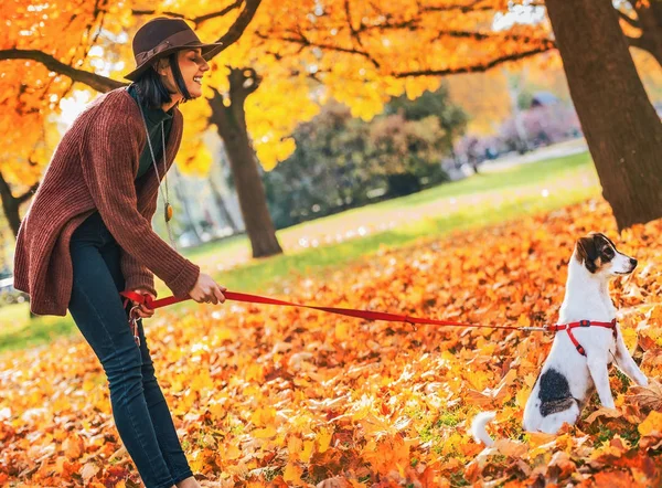 秋の屋外犬を持つ若い女性 — ストック写真