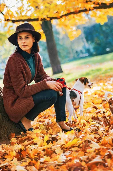 Νεαρή Γυναίκα Σκύλο Στέκεται Έξω Στο Πάρκο Φθινόπωρο — Φωτογραφία Αρχείου