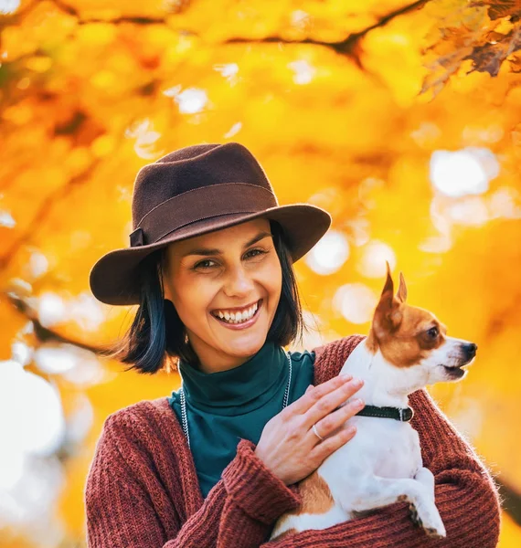 Retrato Cão Jovem Feliz Livre Outono — Fotografia de Stock