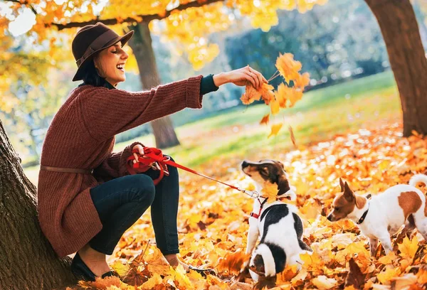 Jovem Feliz Brincando Com Cães Livre Outono — Fotografia de Stock