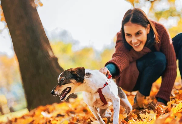 陽気な犬と秋に屋外を保持若い女性へのクローズ アップ — ストック写真