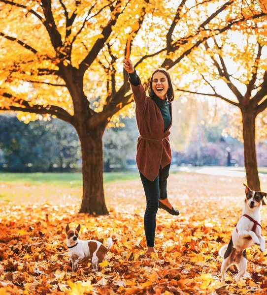 Ευτυχισμένος Νεαρή Γυναίκα Που Παίζουν Σκυλιά Εξωτερικούς Χώρους Φθινόπωρο — Φωτογραφία Αρχείου