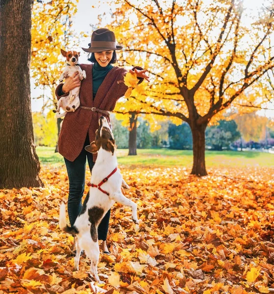 mutlu genç kadın köpeklerle açık havada Sonbahar oynamak