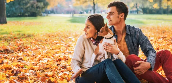 若いカップルに犬と探して秋の公園で屋外座ってコピー スペース — ストック写真