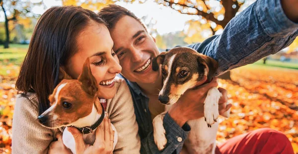 Sorrindo Jovem Casal Com Cães Livre Parque Outono Fazendo Selfie — Fotografia de Stock