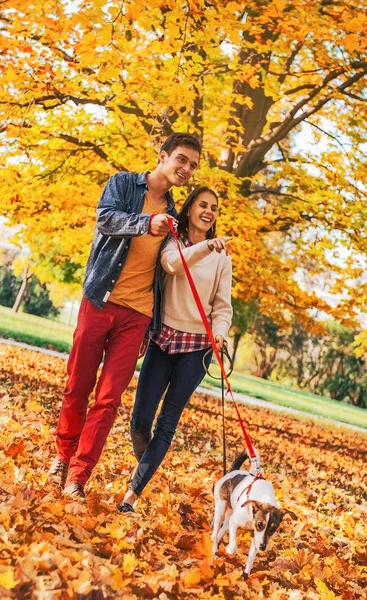 Feliz Pareja Joven Con Dos Perros Lindos Paseando Parque Buen —  Fotos de Stock