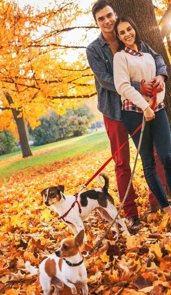 Young Couple Two Little Dogs Walk Park Autumn Day — Stock Photo, Image