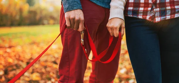 Close Due Mani Coppia Romantica Che Tiene Cani Portare Fuori — Foto Stock