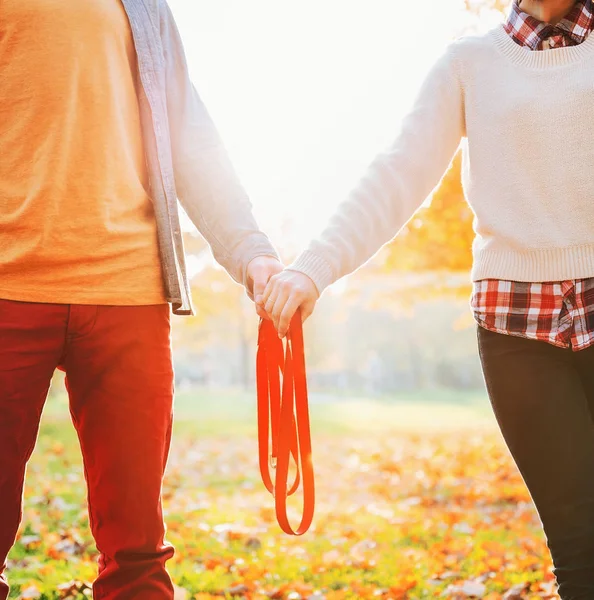 Fechar Jovem Casal Segurando Coleira Juntos Parque Outono — Fotografia de Stock