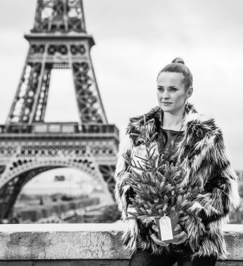 Paris, Fransa mesafe içine bakarak kürk paltolu Noel ağacı ile modern moda sökücü