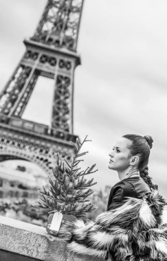 Modern moda-satıcı ile Noel ağacı kürk ceket Paris, Fransa