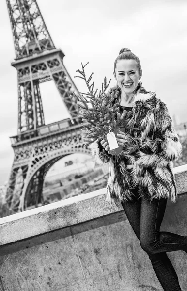 フランスのエッフェル塔と毛皮のコートでクリスマス ツリーとトレンディなファッション屋を笑顔 — ストック写真