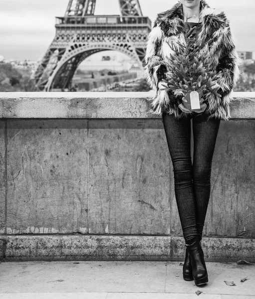 Zbliżenie Trendy Mody Monger Choinki Futro Wieży Eiffla Paryżu Patrząc — Zdjęcie stockowe