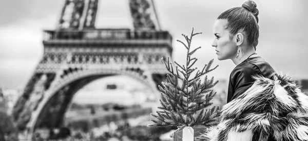 Femme Branchée Avec Sapin Noël Manteau Fourrure Devant Tour Eiffel — Photo