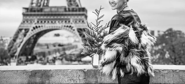 Detailní Záběr Usmívající Trendy Móda Obchodník Vánoční Strom Kožichu Paříž — Stock fotografie