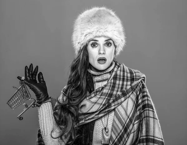 Kış şeyler. Alışveriş arabası tutan kürk şapka sürpriz trendy kadın portresi