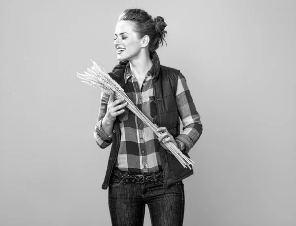 Portrait Happy Young Woman Farmer Checkered Shirt Enjoying Wheat Spikelets — Stock Photo, Image