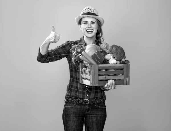 Portrait Smiling Young Woman Grower Checkered Shirt Box Fresh Vegetables — Stock Photo, Image