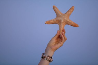 Gün batımında deniz yıldızına yakın çekim