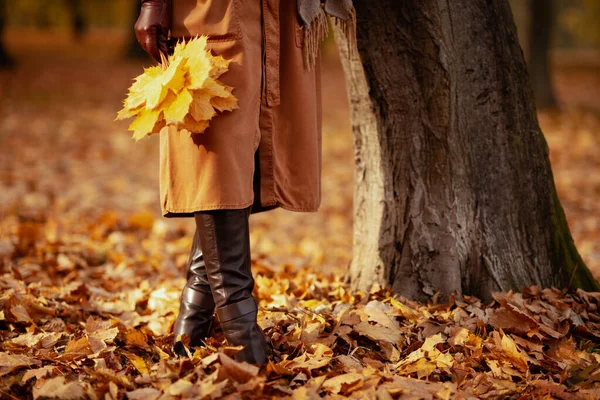 Close-up na mulher com folhas amarelas ao ar livre no parque de outono — Fotografia de Stock