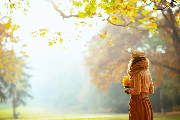 Femme élégante avec des feuilles jaunes à l'extérieur dans le parc d'automne — Photo