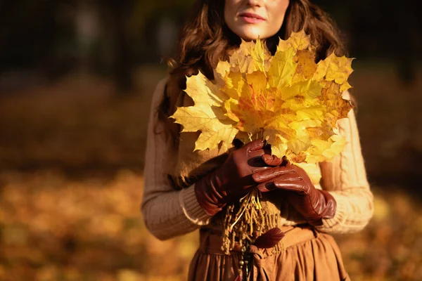 秋の公園の外に黄色の葉を持つ女性の閉鎖 — ストック写真