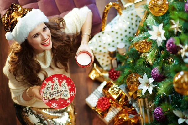머리에 금테인 치마와 스웨터를 우유와 접시가 크리스마스 아래서 복제품 공간을 — 스톡 사진