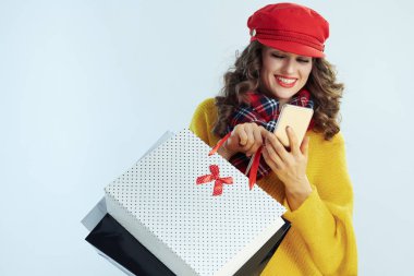 İnternet üzerinden alışveriş yapan kadın müşterisi e-ticaret sitesinde